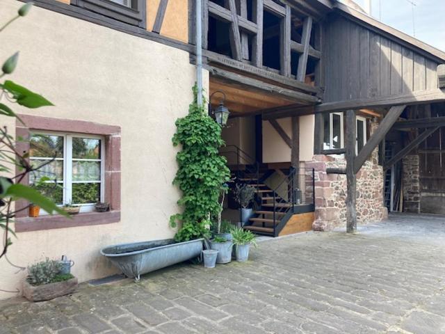 Joli Gite 2 Personnes En Alsace Guémar Exterior foto