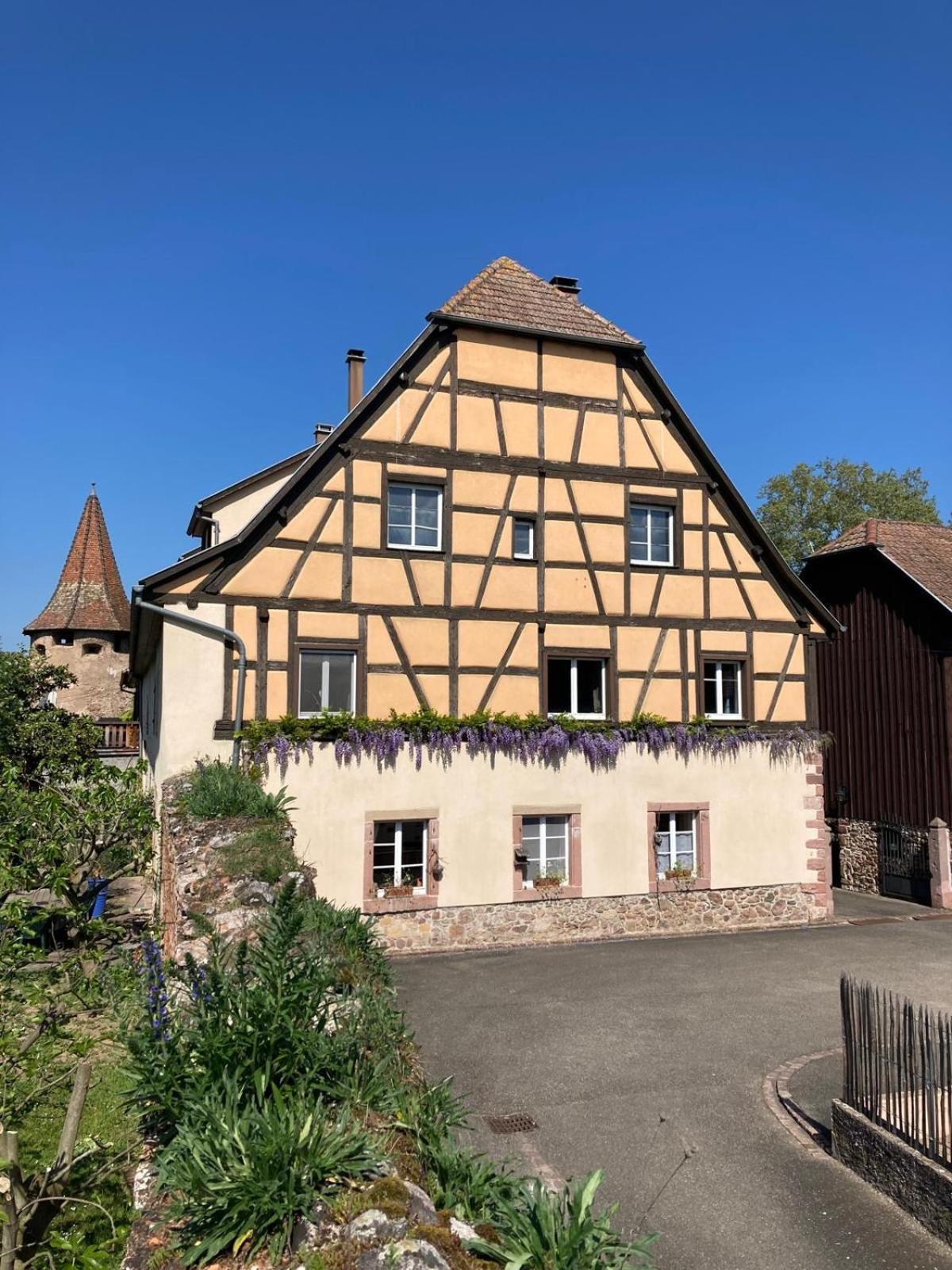 Joli Gite 2 Personnes En Alsace Guémar Exterior foto
